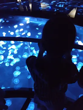 すみだ水族館に投稿された画像（2023/6/25）