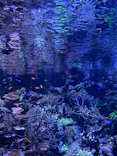 名古屋港水族館に投稿された画像（2023/6/25）