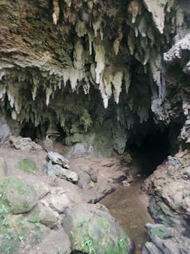 西表島 ADVENTURE PiPi（アドベンチャーピピ）に投稿された画像（2023/6/25）