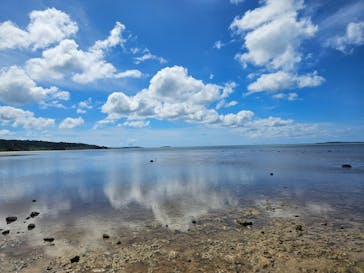 西表島 ADVENTURE PiPi（アドベンチャーピピ）に投稿された画像（2023/6/25）