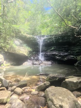 西表島 ADVENTURE PiPi（アドベンチャーピピ）に投稿された画像（2023/6/25）