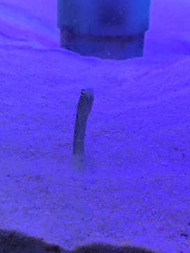 南知多ビーチランド＆南知多おもちゃ王国に投稿された画像（2023/6/25）