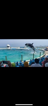 鴨川シーワールドに投稿された画像（2023/6/25）