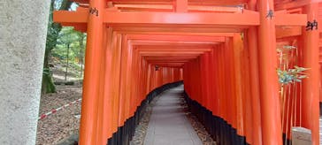 京阪電車に投稿された画像（2023/6/25）