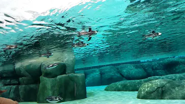 天王寺動物園に投稿された画像（2023/6/25）