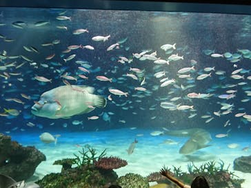 サンシャイン水族館に投稿された画像（2023/6/25）