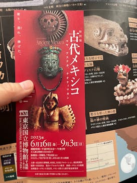 特別展「古代メキシコーマヤ、アステカ、テオティワカン」に投稿された画像（2023/6/25）