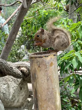 神戸どうぶつ王国に投稿された画像（2023/6/25）