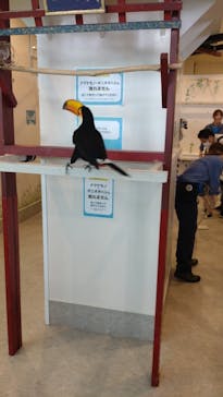 アニタッチみなとみらいに投稿された画像（2023/6/25）