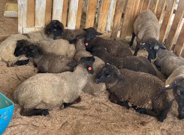 牧歌の里に投稿された画像（2023/6/25）