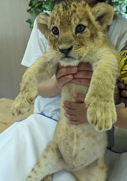 しろとり動物園に投稿された画像（2023/6/25）