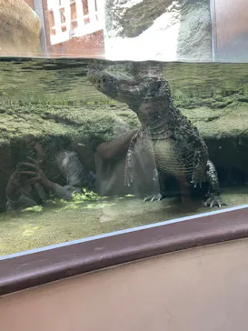 仙台うみの杜水族館に投稿された画像（2023/6/25）
