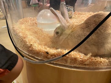 Moff animal cafe イオンモール幕張新都心店に投稿された画像（2023/6/25）