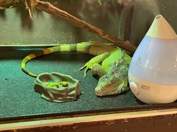 Moff animal cafe イオンモール幕張新都心店に投稿された画像（2023/6/25）