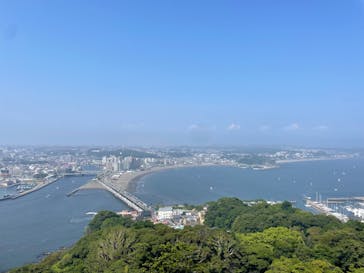 新江ノ島水族館に投稿された画像（2023/6/25）