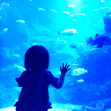 京都水族館に投稿された画像（2023/6/25）