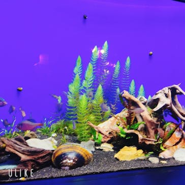 サンシャイン水族館に投稿された画像（2023/6/25）