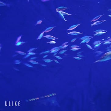 サンシャイン水族館に投稿された画像（2023/6/25）