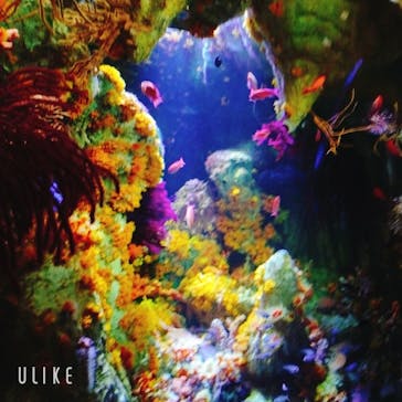 サンシャイン水族館に投稿された画像（2023/6/25）