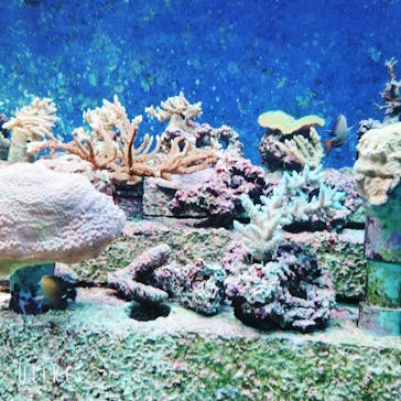 サンシャイン水族館に投稿された画像（2023/6/25）