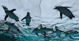 天王寺動物園に投稿された画像（2023/6/26）