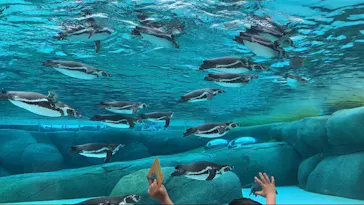 天王寺動物園に投稿された画像（2023/6/25）