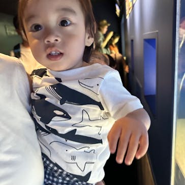 サンシャイン水族館に投稿された画像（2023/6/26）