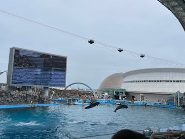 名古屋港水族館に投稿された画像（2023/6/26）