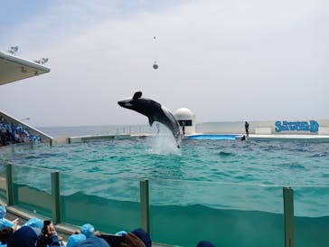 鴨川シーワールドに投稿された画像（2023/6/26）