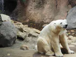 よこはま動物園ズーラシアに投稿された画像（2023/6/26）