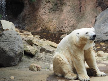 よこはま動物園ズーラシアに投稿された画像（2023/6/26）