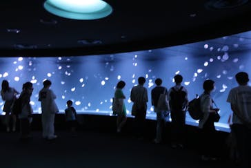 サンシャイン水族館に投稿された画像（2023/6/26）