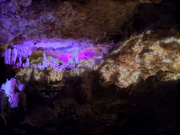 石垣島鍾乳洞に投稿された画像（2023/6/26）