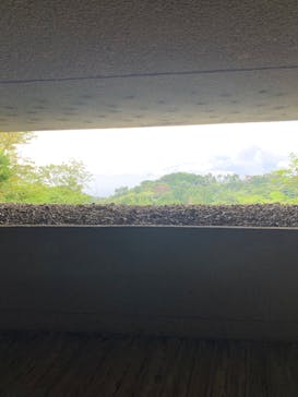 自然体感展望台 六甲枝垂れに投稿された画像（2023/6/26）