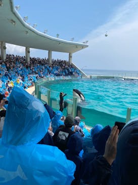 鴨川シーワールドに投稿された画像（2023/6/26）