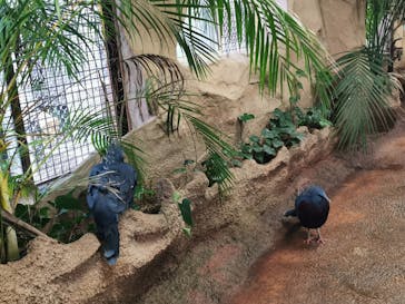 那須どうぶつ王国に投稿された画像（2023/6/26）