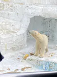 天王寺動物園に投稿された画像（2023/6/26）
