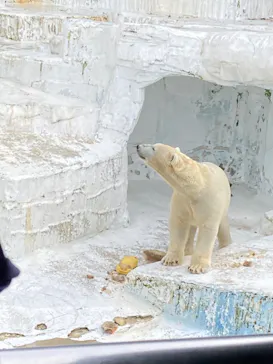 天王寺動物園に投稿された画像（2023/6/26）