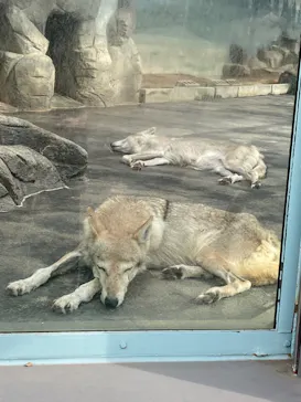 天王寺動物園に投稿された画像（2023/6/26）