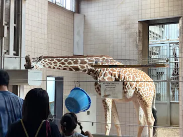 天王寺動物園に投稿された画像（2023/6/26）