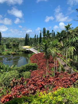 美らヤシパークオキナワ・東南植物楽園に投稿された画像（2023/6/26）