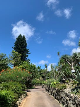 美らヤシパークオキナワ・東南植物楽園に投稿された画像（2023/6/26）