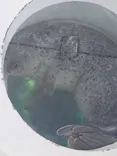 しながわ水族館に投稿された画像（2023/6/26）
