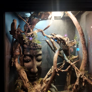 NARA IKIMONO MUSEUMに投稿された画像（2023/6/26）