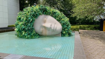 彫刻の森美術館に投稿された画像（2023/6/26）