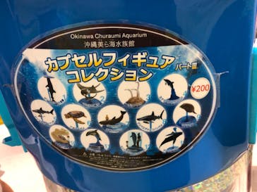 沖縄美ら海水族館に投稿された画像（2023/6/26）