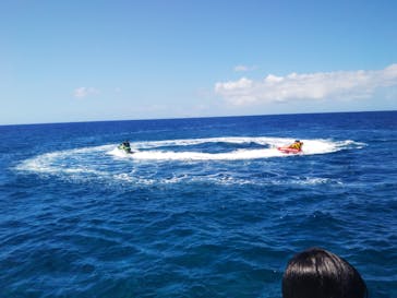 Sea World（シーワールド）に投稿された画像（2023/6/26）