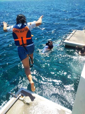 Sea World（シーワールド）に投稿された画像（2023/6/26）