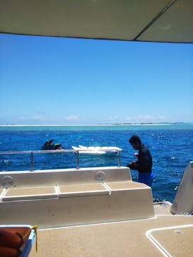 Sea World（シーワールド）に投稿された画像（2023/6/26）