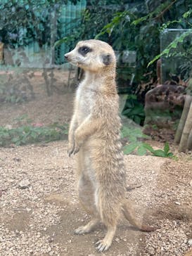 しろとり動物園に投稿された画像（2023/6/26）